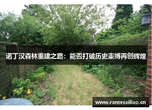 诺丁汉森林重建之路：能否打破历史束缚再创辉煌